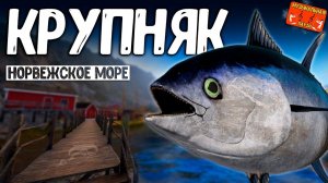 РР4/ рыбалка для души, ловим как универсал, общаемся 23.06.24