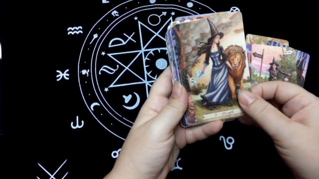 Повседневное Таро Ведьмы смотреть онлайн
