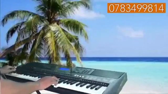 0783499814 bán đàn kurtzman k200 k250 k300 giá 2 triệu,bán yamaha dgx 520 530 220 230..giá re смотреть онлайн