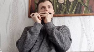 августин на губной гармошке