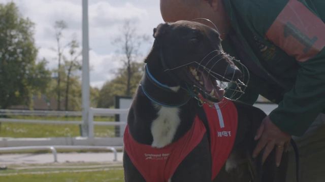Star Sports Greyhound Derby 2023 | Introduced by Ben Keith… смотреть онлайн