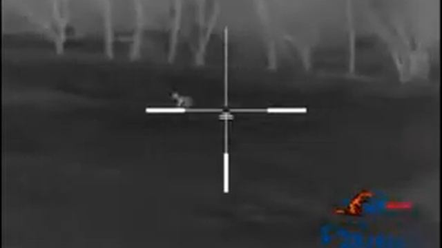 N-VISION Optics HALO-LR Thermal Scope смотреть онлайн