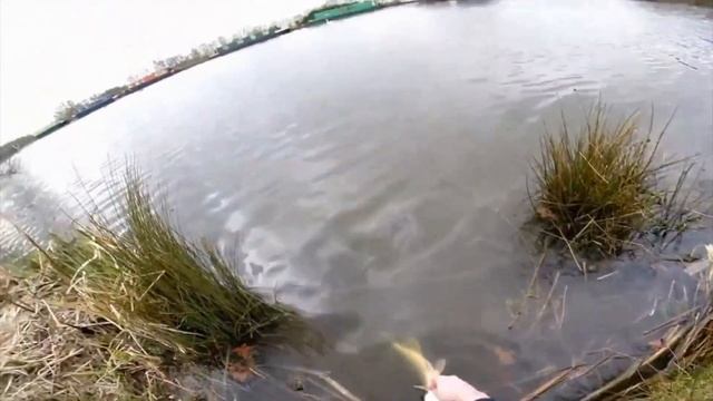 Секреты ловли хищника на спиннинг ранней весной! смотреть онлайн