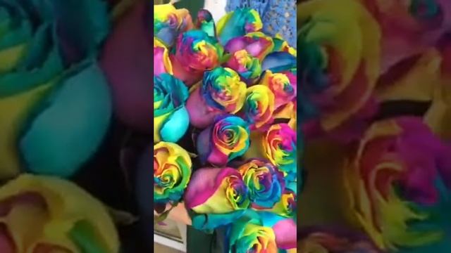 Букет из 33 радужных роз смотреть онлайн