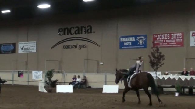Razzle Dazzle Lisa Fisher Freestyle Round 1 VaultCanada Individual Canter B Women 2013 Va смотреть онлайн