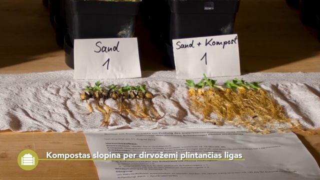 Kompostas - privalumai ir trūkumai смотреть онлайн