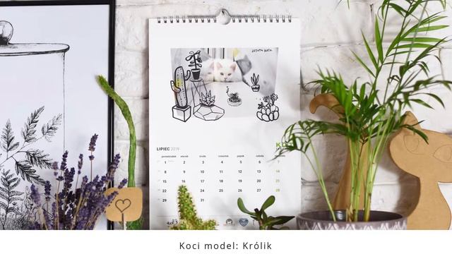 Kalendarz charytatywny Istota Kota 2019 смотреть онлайн