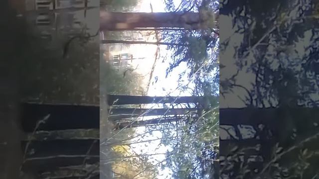 Я люблю ходить пешком смотреть онлайн