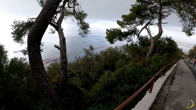 Скала Гибралтар, Великобритания смотреть онлайн