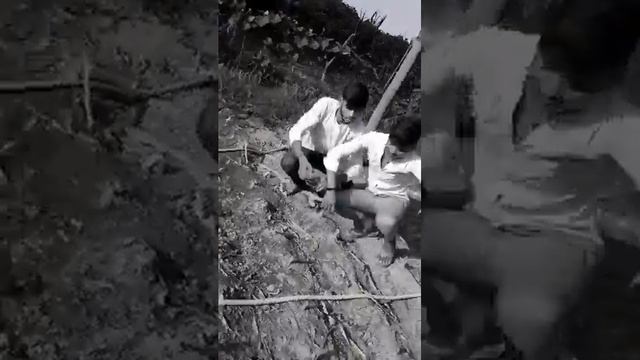 Опасные танцы ? смотреть онлайн