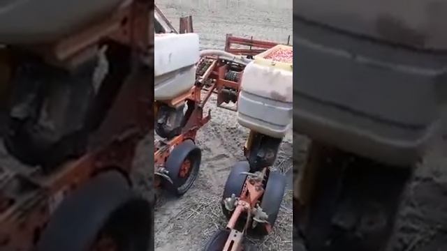 Посев кукурузы фтарой день. смотреть онлайн