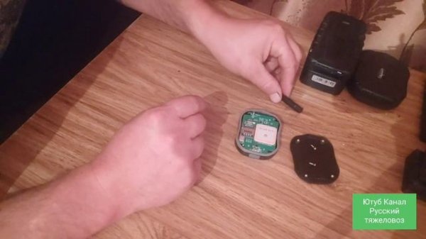 Как настроить Gps treker для животных.