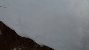 Болотоход тингер не едет в снег.