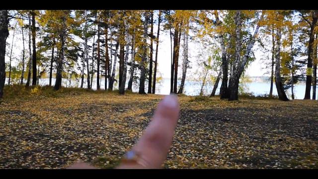 LIVE 077. Осенний день смотреть онлайн
