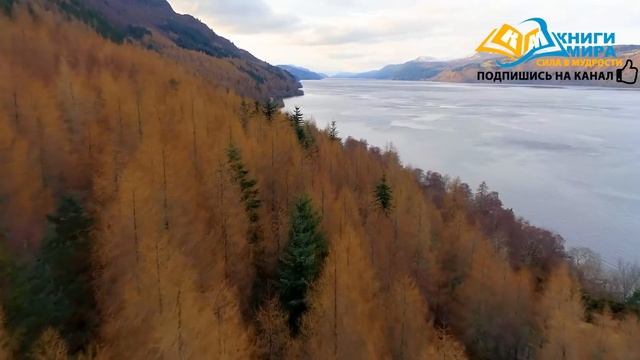 Как Запустить Реальное Исцеление Своего Тела и Сердца От Любой Болезни! l Никошо и Стивен Левин смотреть онлайн