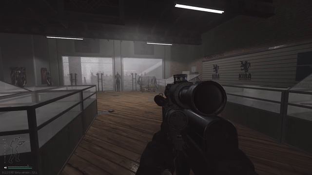 The SKS is Godlike in Escape From Tarkov смотреть онлайн