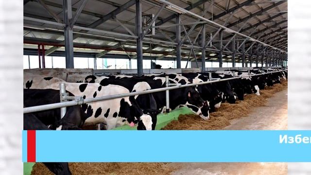 В организме человека глисты не церемонятся! Вот как можно себя обезопасить