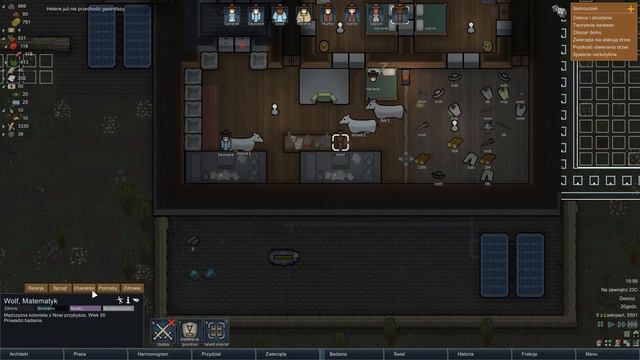 #54 Zagrajmy w RIMWORLD - OPERACJA PROTEZY NOGI [Lets play PL Ptak Online] смотреть онлайн