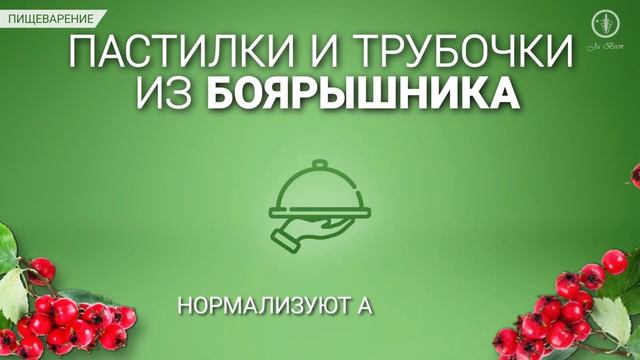 Пастилки и трубочки из боярышника смотреть онлайн