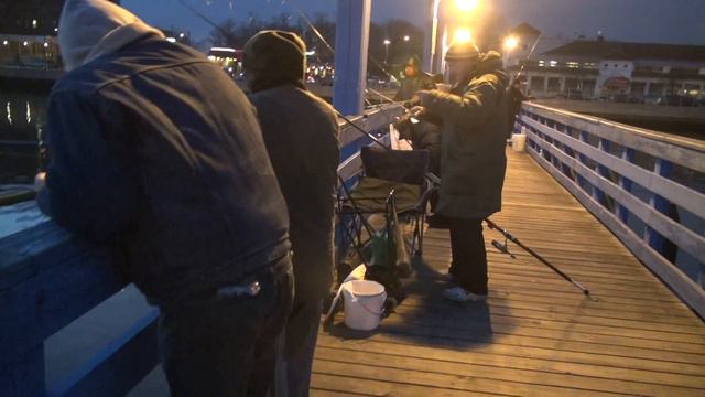 селедка рыбалка бруклин на канале herring fishing brooklyn