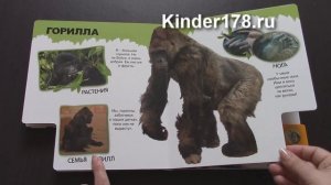 Говорящая энциклопедия для малышей "Про полосатого тигра и не только" Азбукварик. Видео-обзор