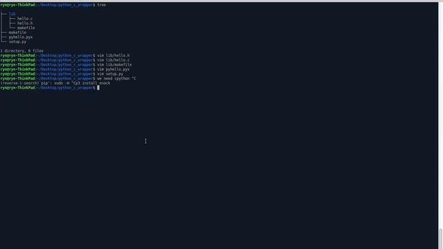 Creating a Python C/C++ Wrapper смотреть онлайн