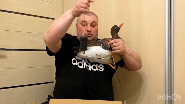 Гуси падают как намагниченные к этой новинке от DUCK MANIA!#охотавроссии #охотанагусей2024 смотреть онлайн