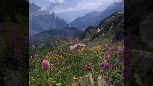 Даурский заповедник Забайкалья.