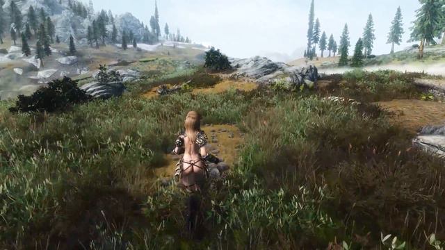 Skyrim: Voluptuous Grasses - The T H I C C K E N I N G (Outdated) смотреть онлайн