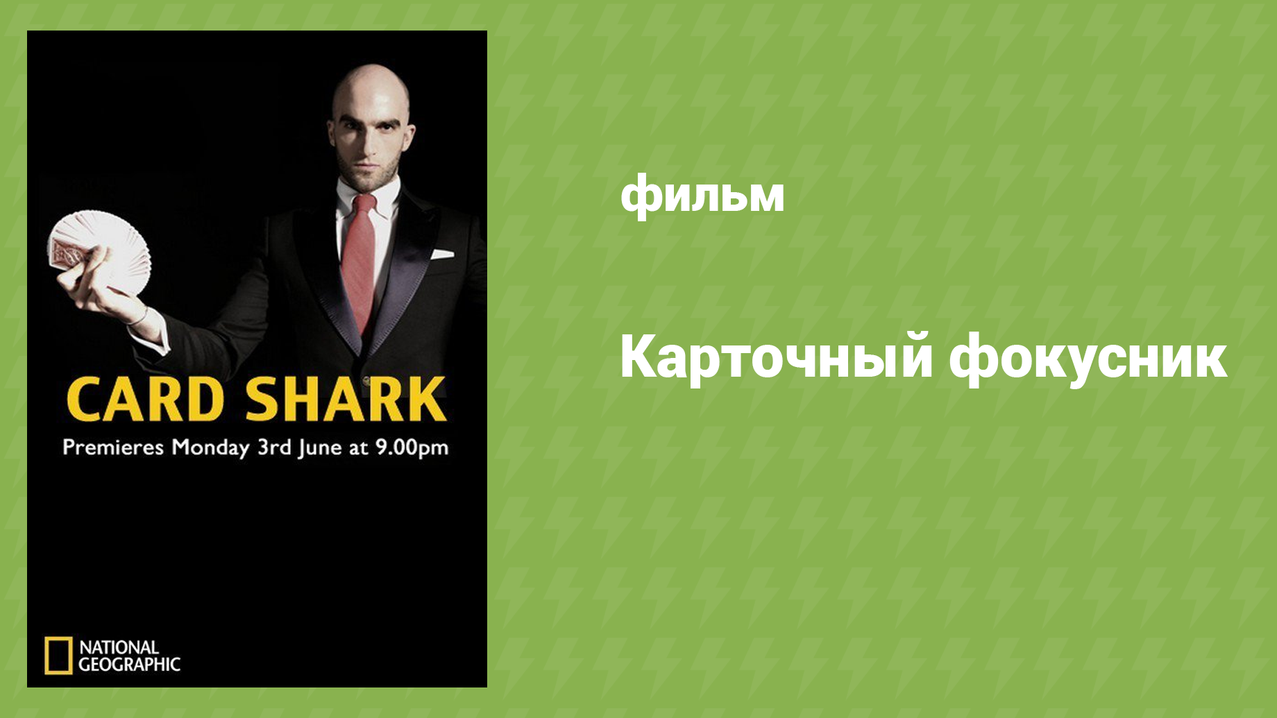 Карточный фокусник (документальный фильм, 2013)