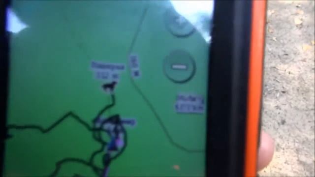 Нагонка русских гончих Баян, Дара вл. Первышов Д., Венера вл. Макаренко И. и Плакуня вл.Шатров В.А смотреть онлайн