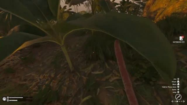 Green Hell : Herpetophobia смотреть онлайн