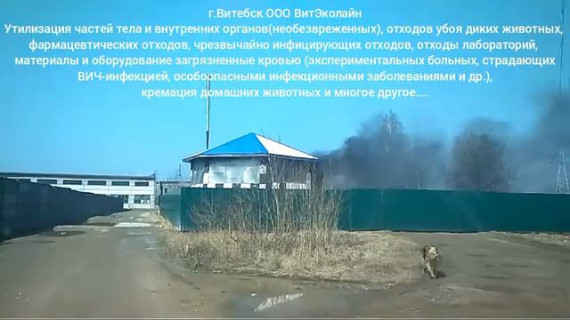Витебск ООО ВитЭколайн смотреть онлайн