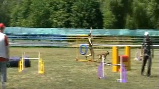 Лакошко Елена и малинуа Тара от Сольника