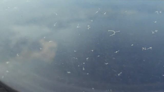 В Санкт Петербург на Победе смотреть онлайн
