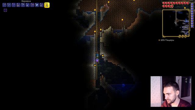 Креветки черноморские | Terraria смотреть онлайн