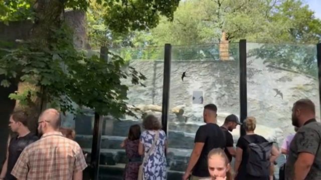 ЗООПАРК В ПРАГЕ смотреть онлайн