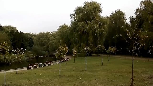 Осенний парк Черкассы УкраинаCherkassy Ukraine mp4 смотреть онлайн