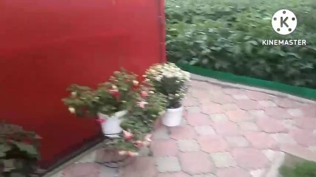 Сибирь. Принимаю участие в конкурсе "Лучшая усадьба". смотреть онлайн