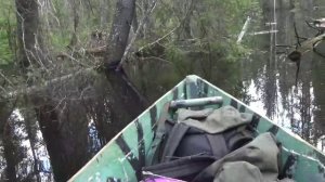 Весновка 2022 #11 Использование озерной лодки в половодье по тайге после шквального ветра.mp4