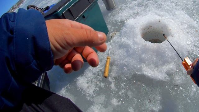 РЫБАЛКА В АЛТАЙКЕ / ВЕСНА 2023?? смотреть онлайн