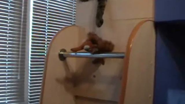 друг спас жизнь друга смотреть онлайн