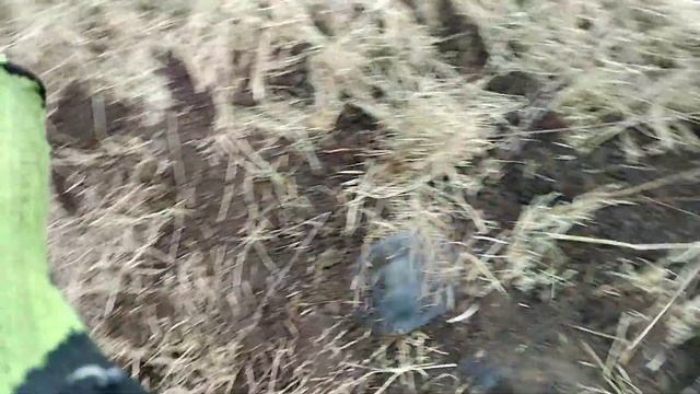 Запретный плод сладок и не достать,Коп 21декабря смотреть онлайн