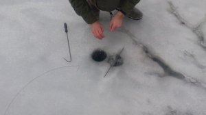 Зимние поставушки на щуку .