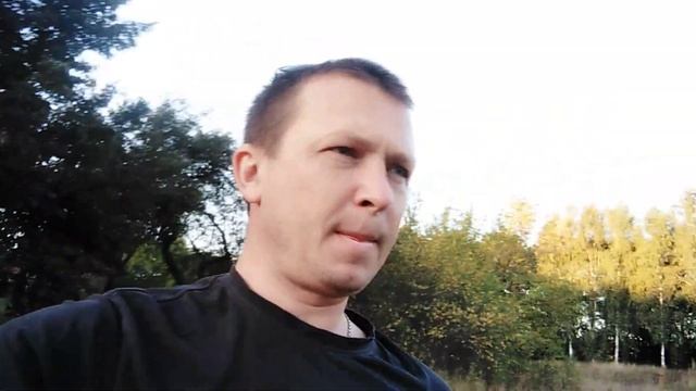 Павловния - результаты после посадки деревьев - отчет ! смотреть онлайн