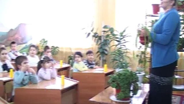 РЕН ОГНИ; д/с "Родничок",Комнатные растения смотреть онлайн