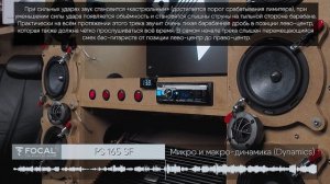 FOCAL PS 165 SF vs DLS RZ6.2i