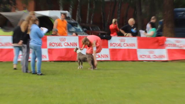 Кассиопея С Планеты Звезд смотреть онлайн