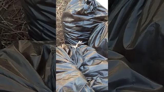 Богомол, Крым смотреть онлайн