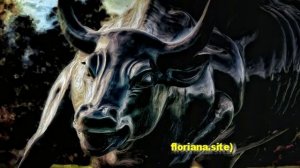 Как завоевать мужчину Тельца